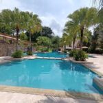 Picture of a swimming pool with palm trees at Embassy Club, Clayton