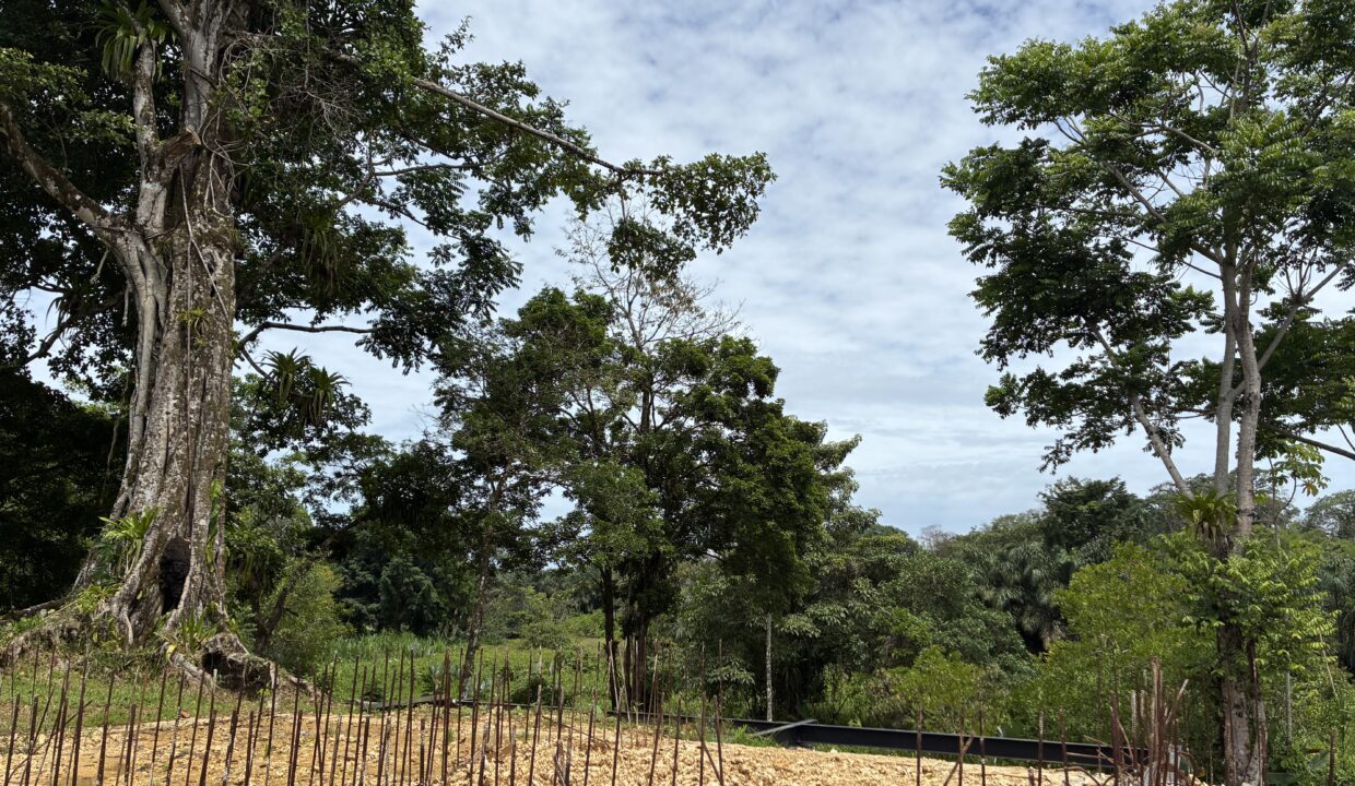 Burn Brae Plantation Bocas del Toro home for sale (9)