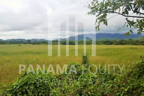 Panama Penonome land for sale
