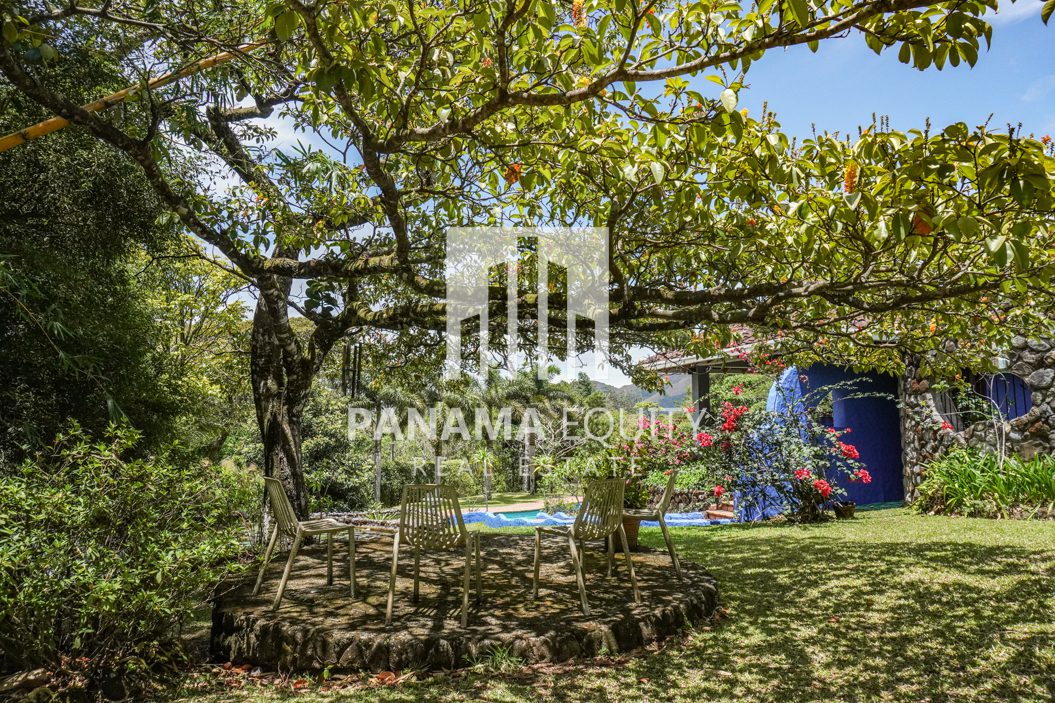 El Valle Home for Sale Outdoor Backyard-3