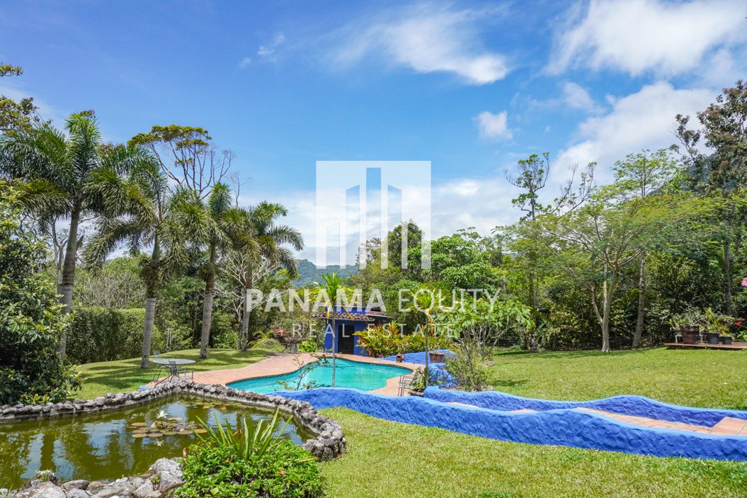El Valle Home for Sale Pool-3