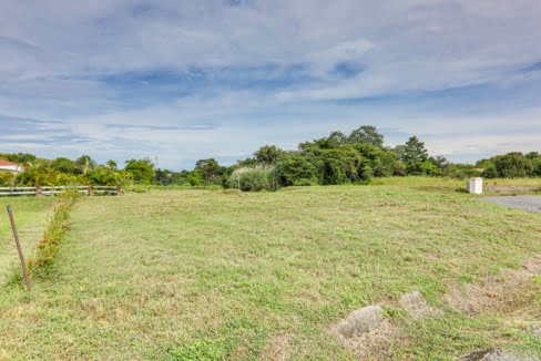 Hacienda Pacifica Panama San Carlos land for sale (2)
