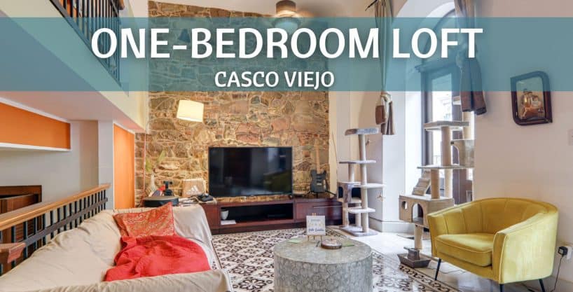 Furnished One-Bedroom Loft For Rent In Cuatro Casas Casco Viejo