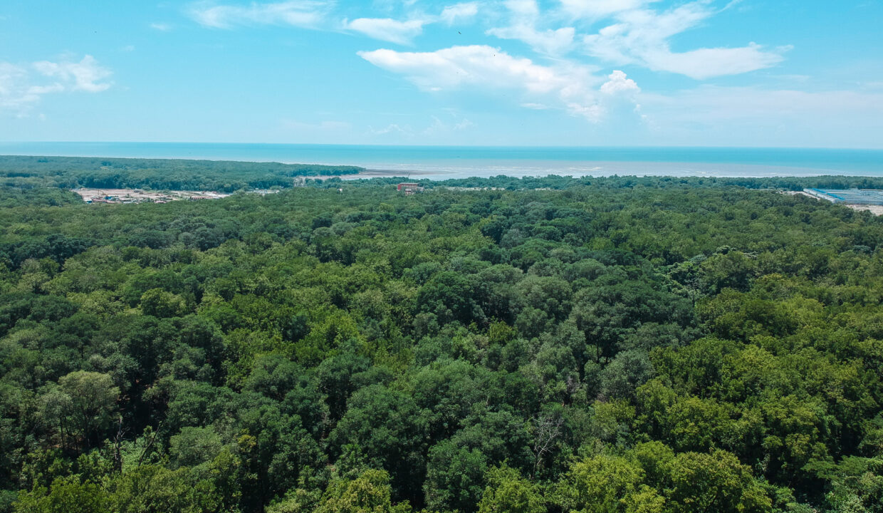 The Ivy Santa Maria Panama condo for sale (7)