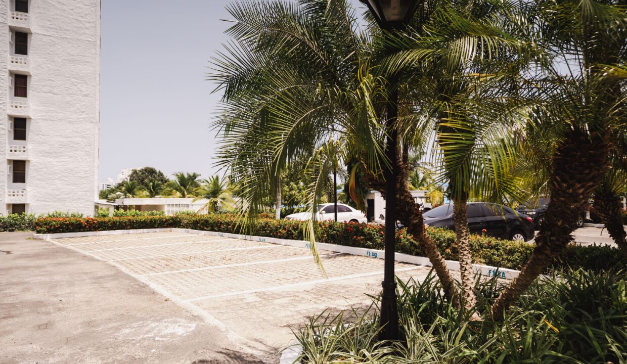 IMG001 (3)