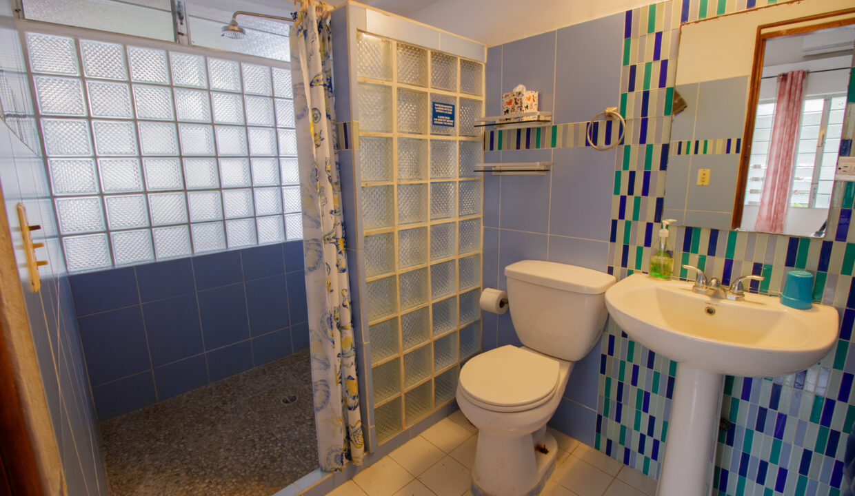 House in Farallon TOGO(15)