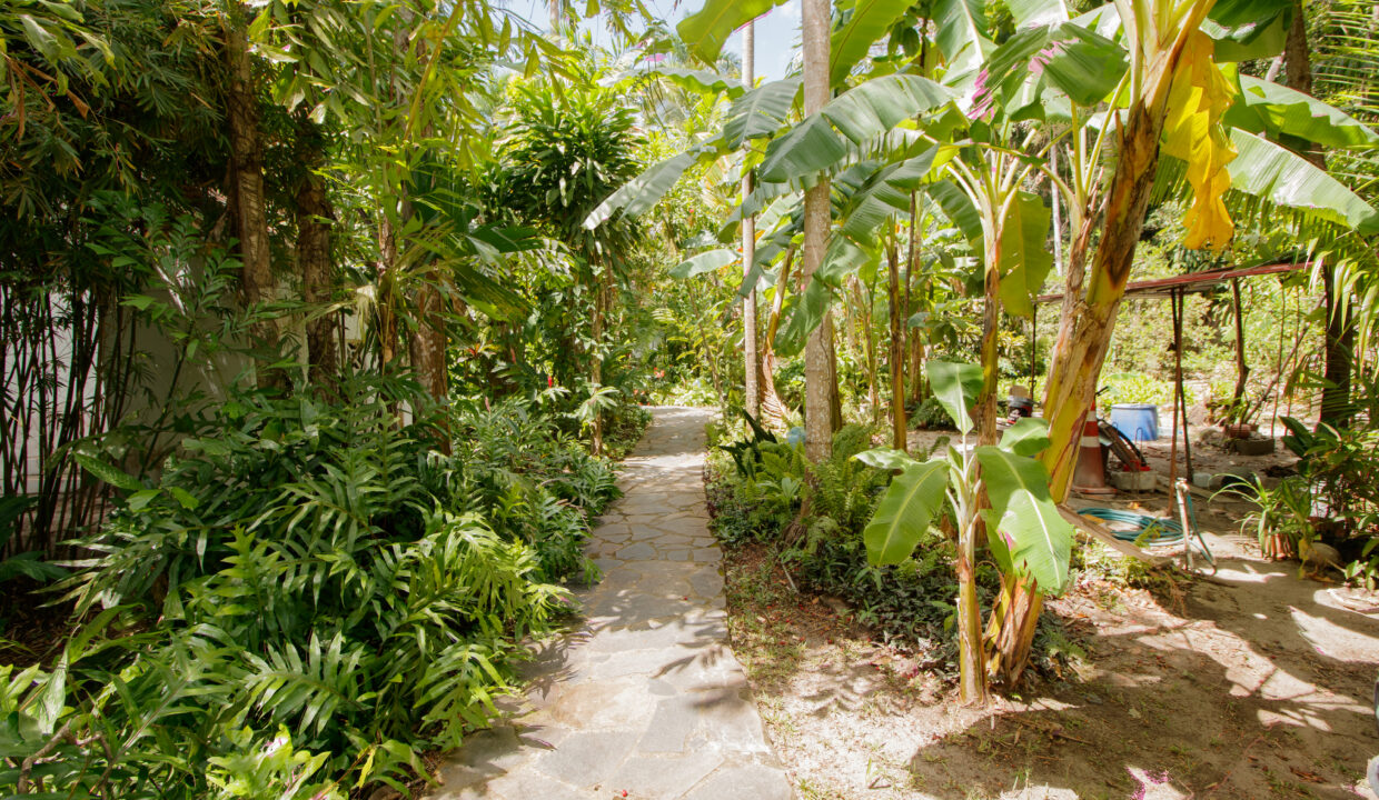 House in Farallon TOGO(3)