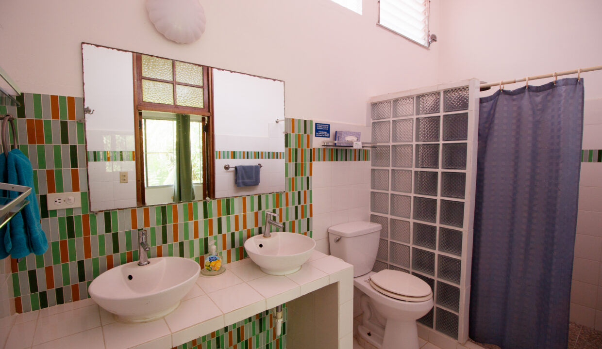 House in Farallon TOGO(8)