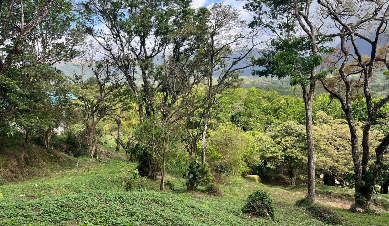 El Valle lot for sale
