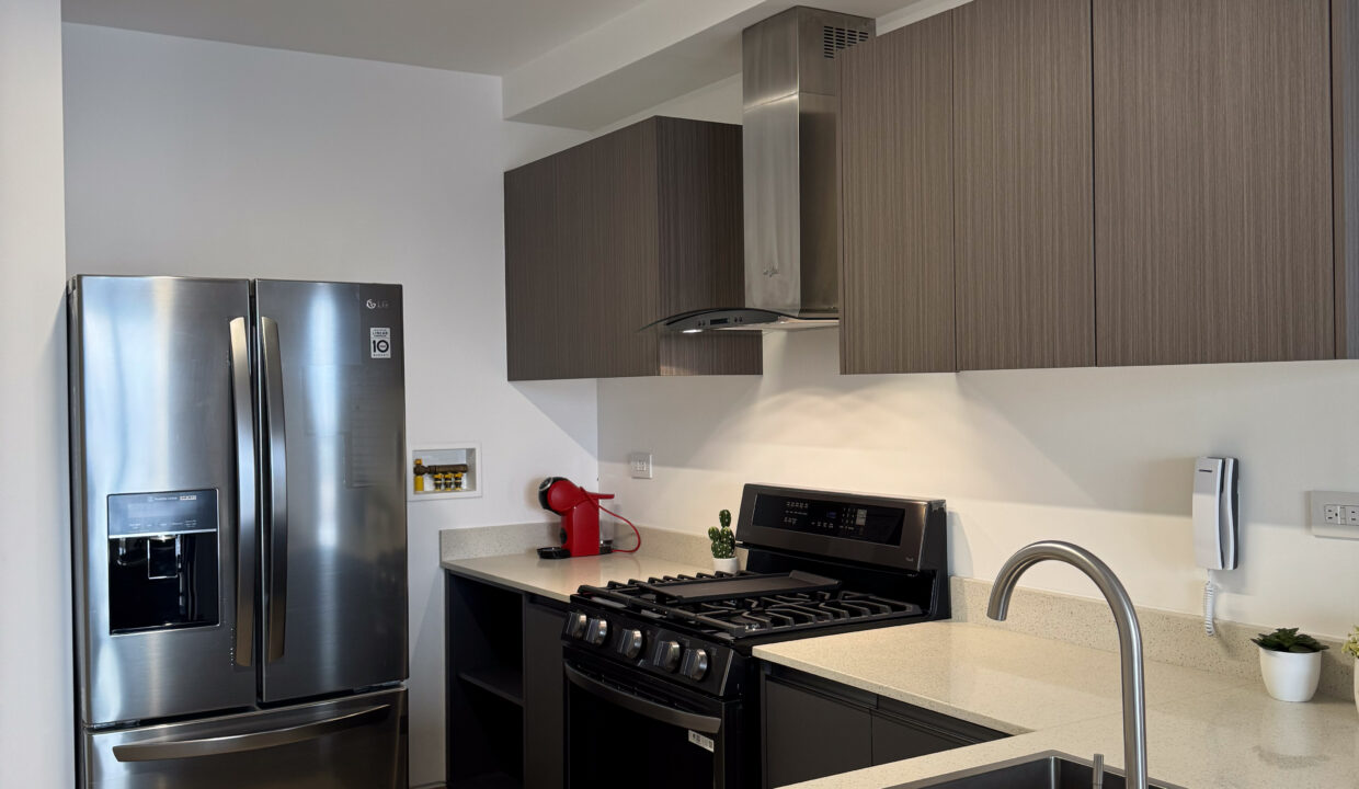 Balcony Hato Pintado Panama condo for sale (11)