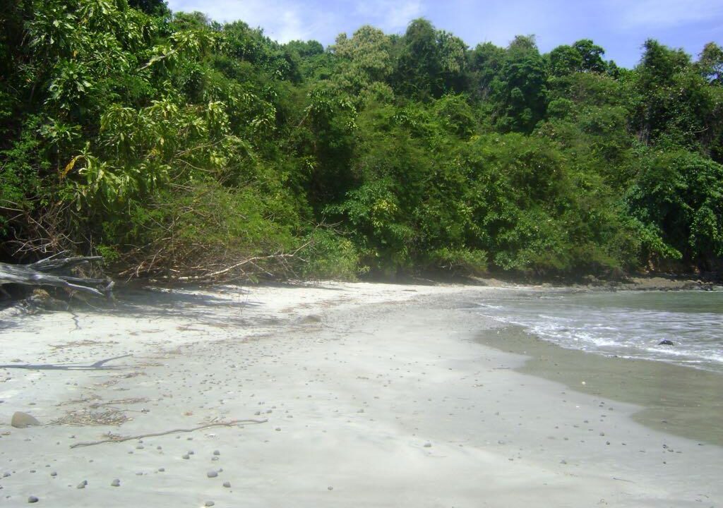Island for sale in Panama(6)