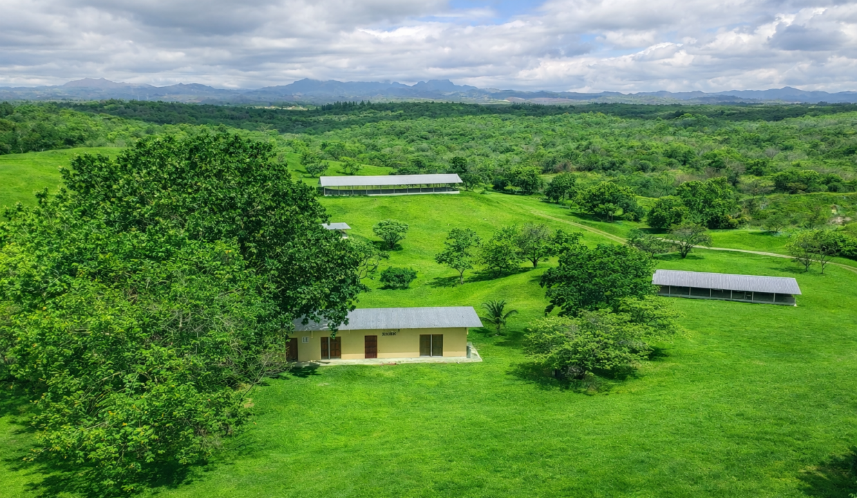 San Carlos Panama farm for sale (1)