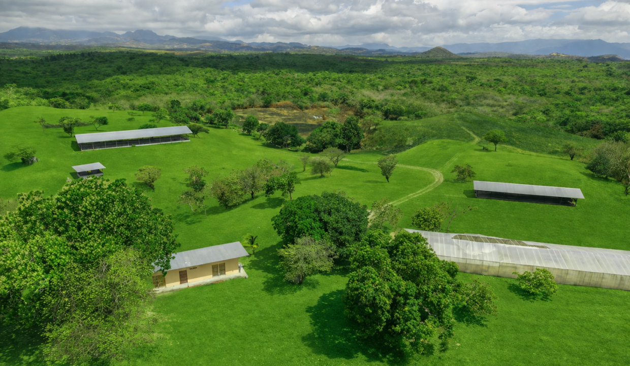San Carlos Panama farm for sale (3)