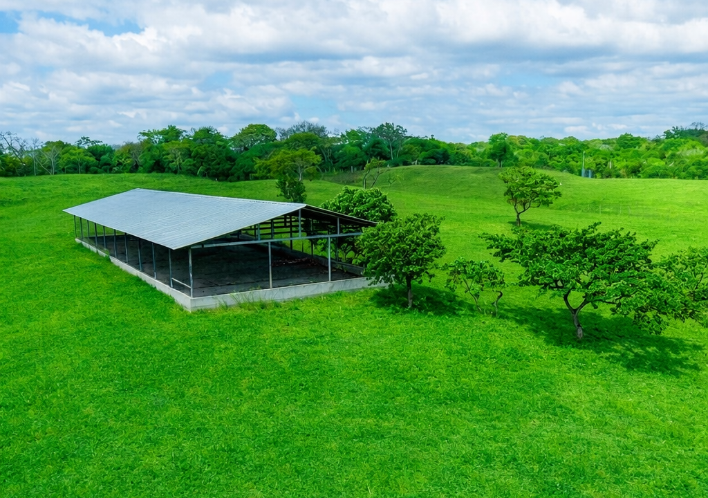 San Carlos Panama farm for sale (4)