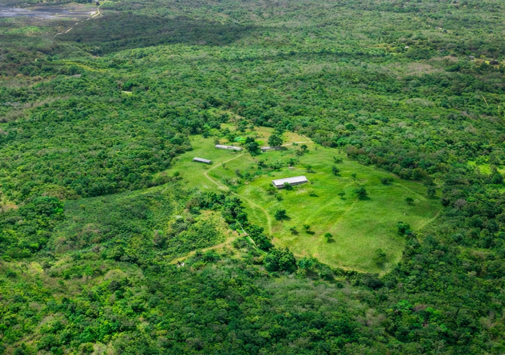 San Carlos Panama farm for sale (5)