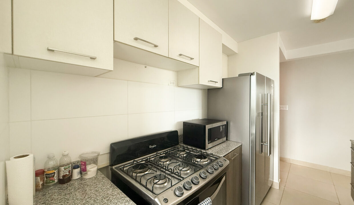 Sole Tower Hato Pintado Panama condo for sale(6)