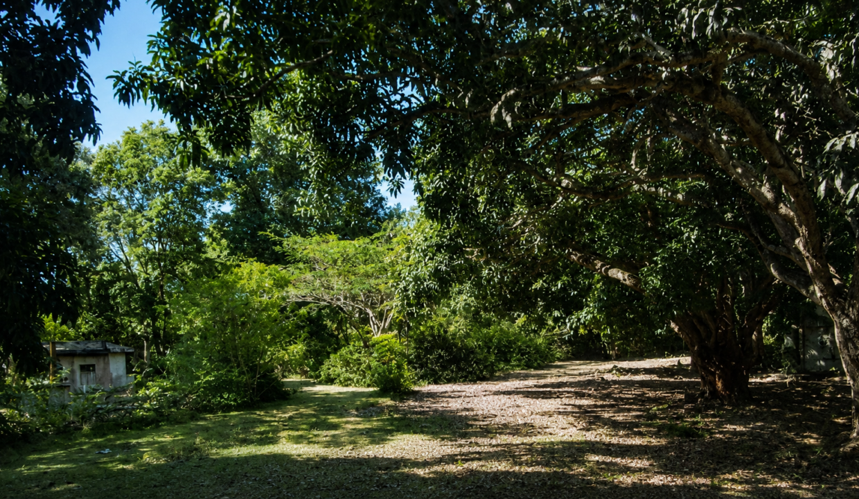 Santa Clara Panama lot for sale(1)
