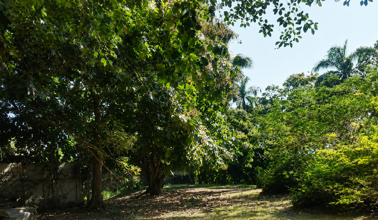 Santa Clara Panama lot for sale(10)