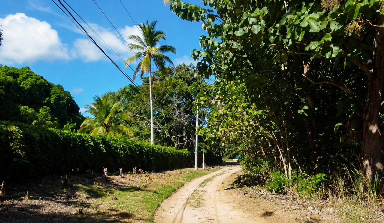 Santa Clara Panama lot for sale(2)