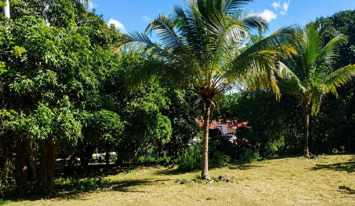 Santa Clara Panama lot for sale(4)