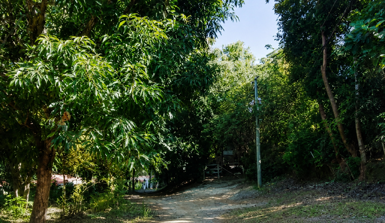 Santa Clara Panama lot for sale(7)