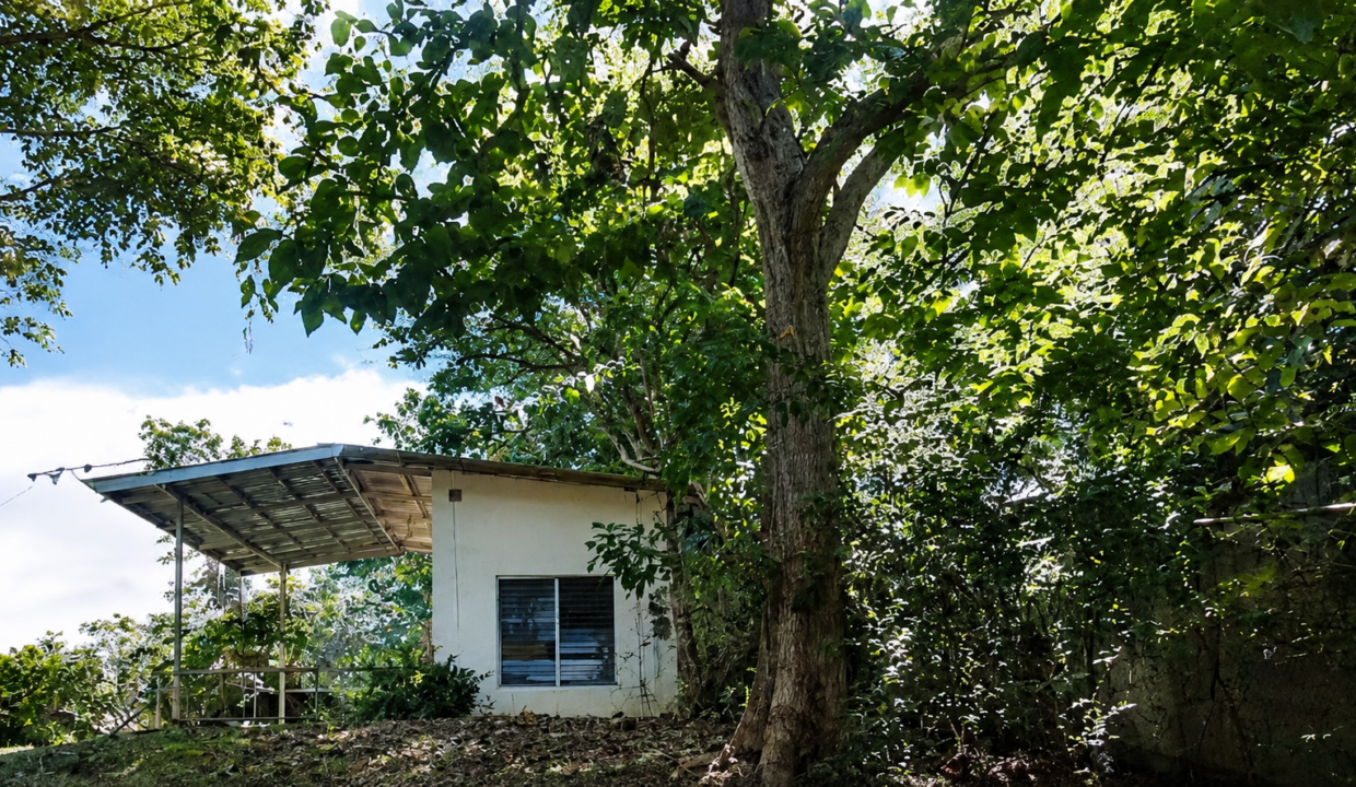 Santa Clara Panama lot for sale(8)
