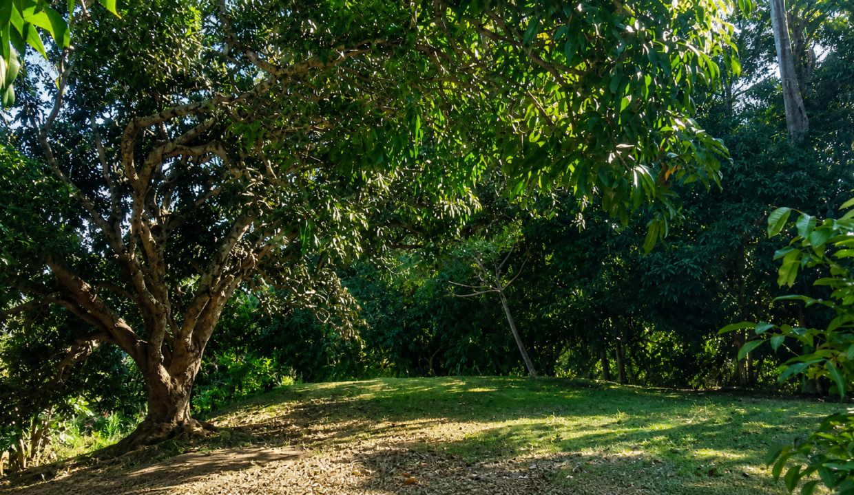 Santa Clara Panama lot for sale(9)
